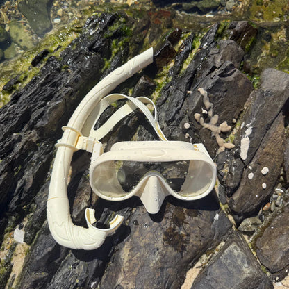 Snorkel Set