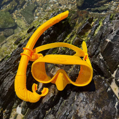 Snorkel Set
